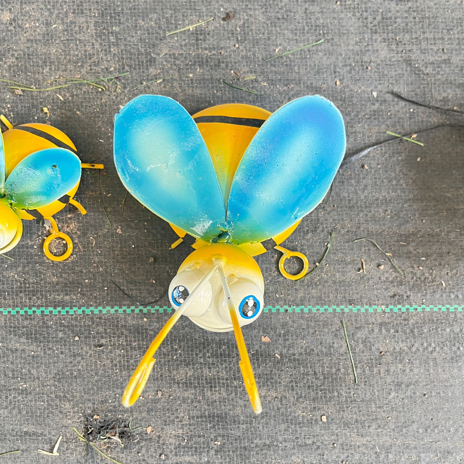 Mariquita Decoracion