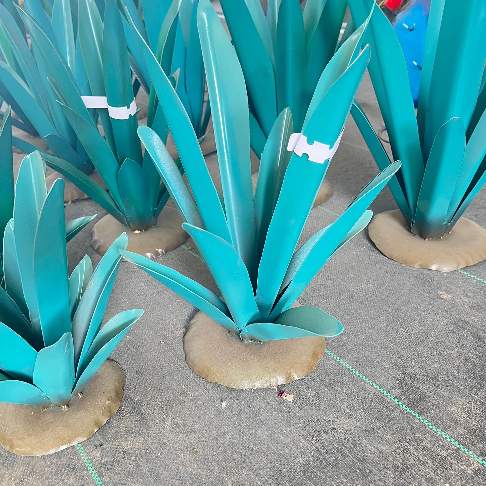 Decoracion Desertica